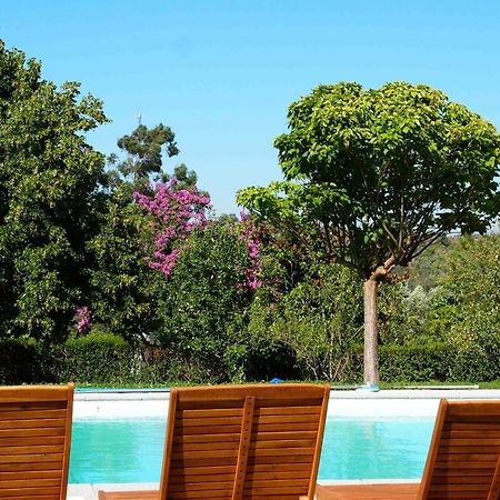 Гостевой дом Quinta Dos Ribeiros Алпальян Экстерьер фото