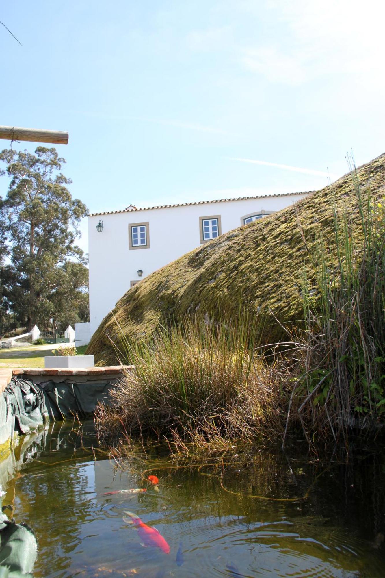 Гостевой дом Quinta Dos Ribeiros Алпальян Номер фото